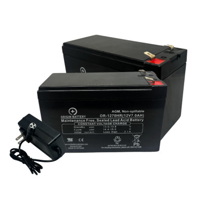 will theses  batteries fit e300s